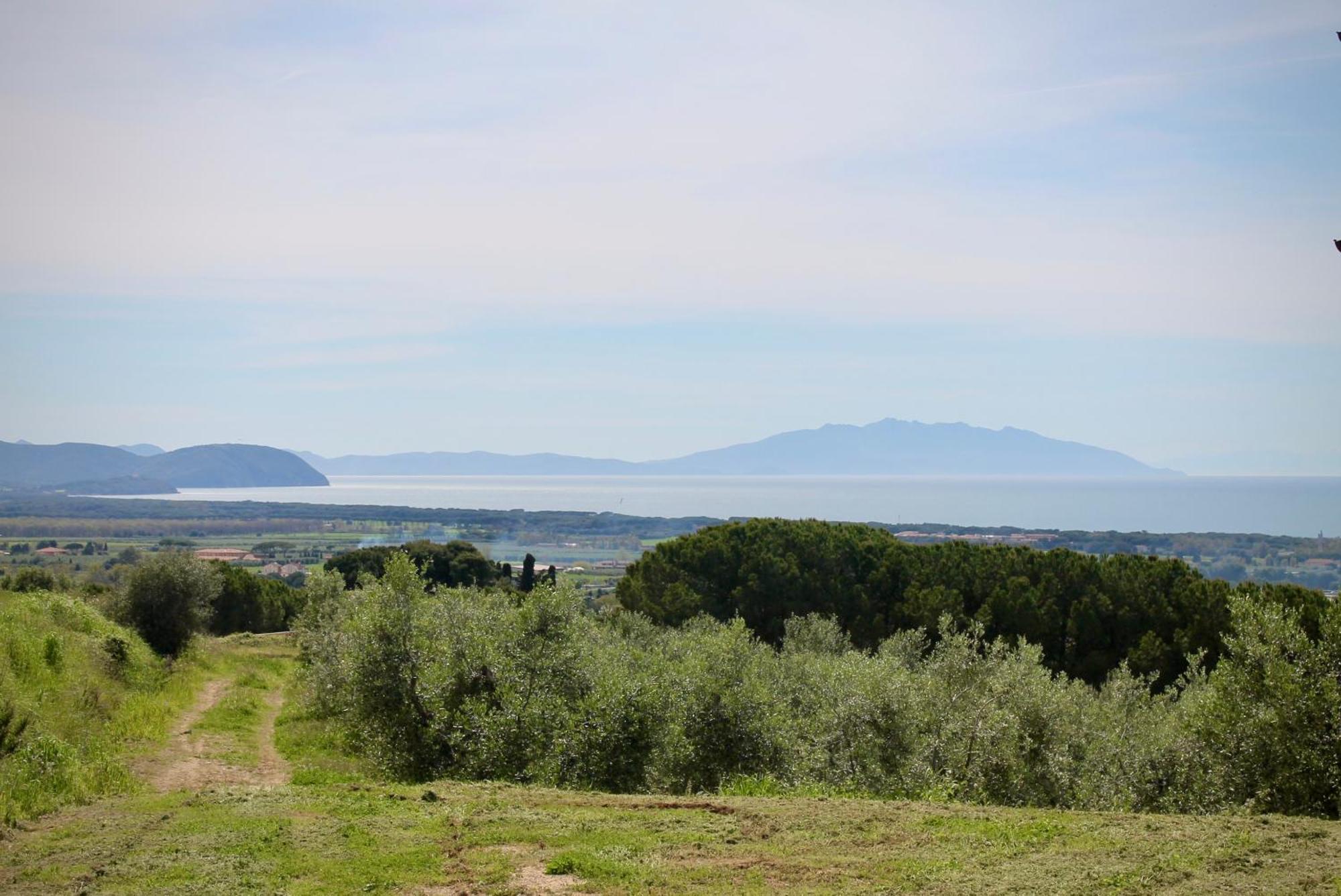 Agriturismo Suite Del Conte San Vincenzo Exterior foto