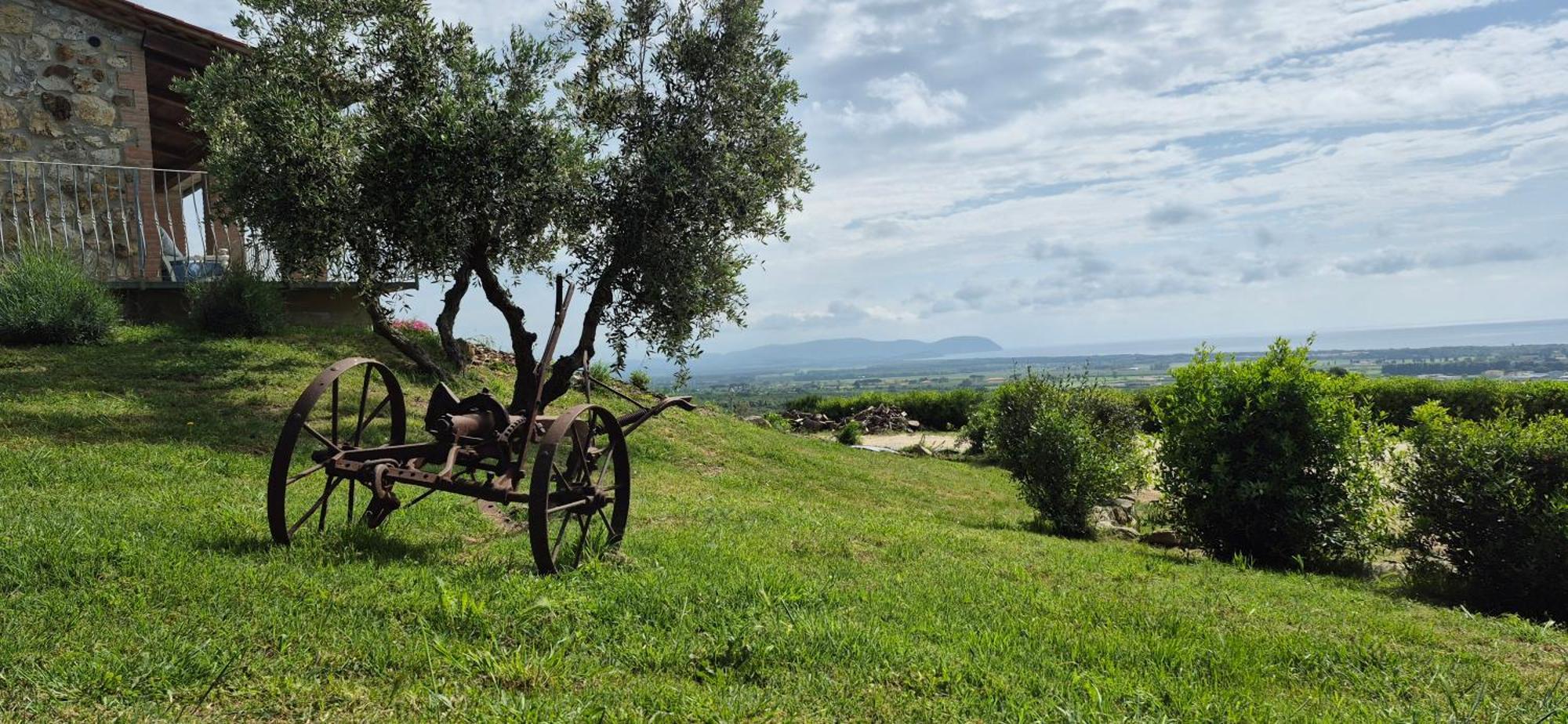 La Suite del Conte San Vincenzo Exterior foto